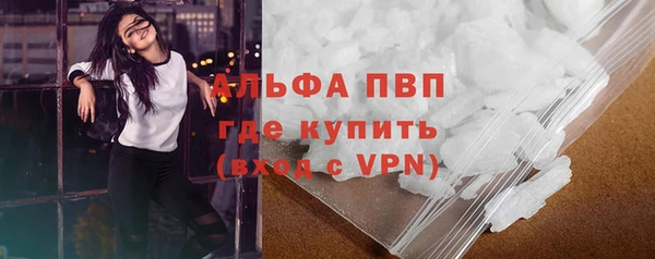 прущие грибы Аркадак