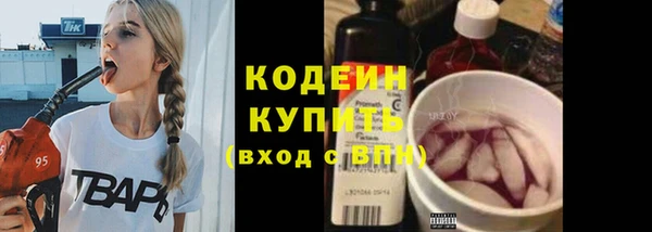 прущие грибы Аркадак