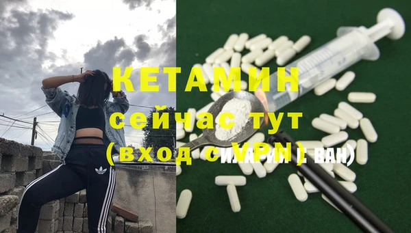 прущие грибы Аркадак