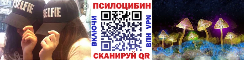 Галлюциногенные грибы Psilocybe  Заинск 